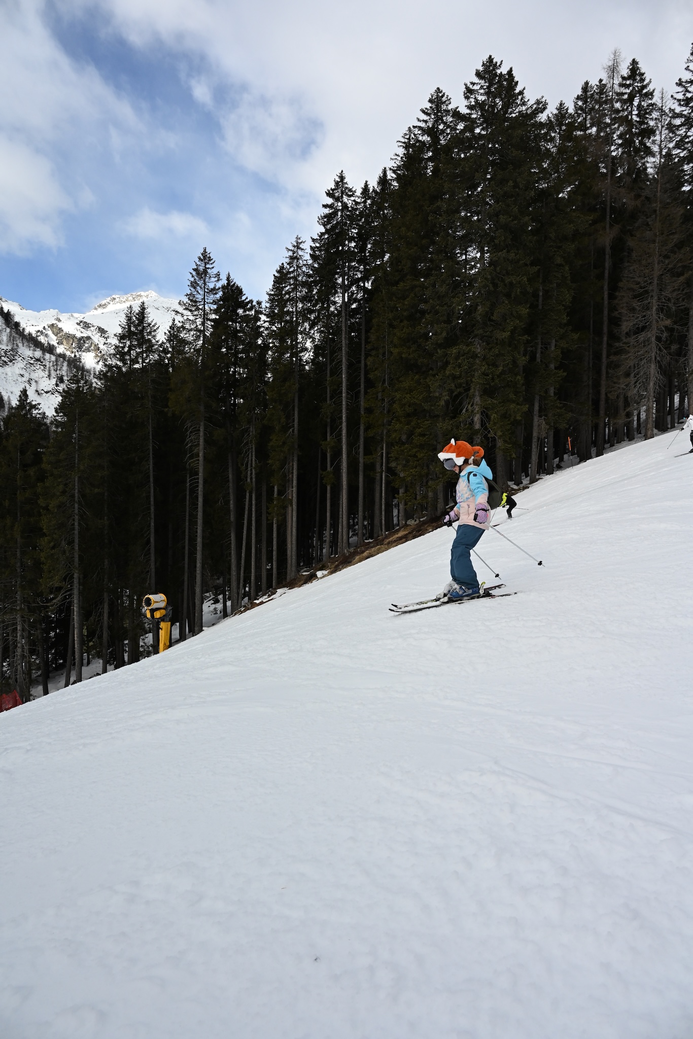 A skier on a steeper pitch beside tall pines