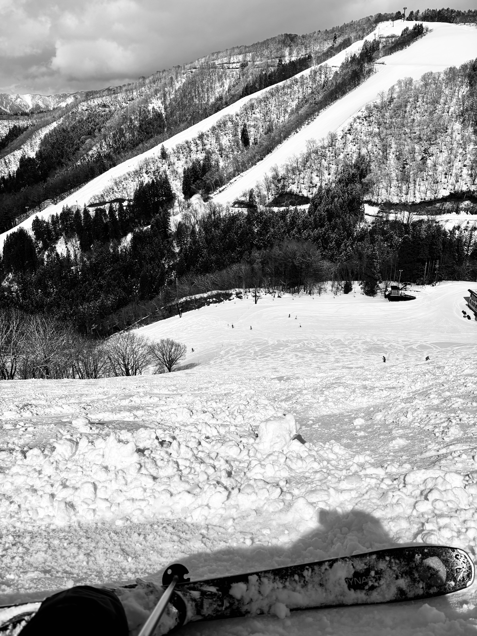 A steeper pitch above the village, Dynastar ski tip in the snow, black and white