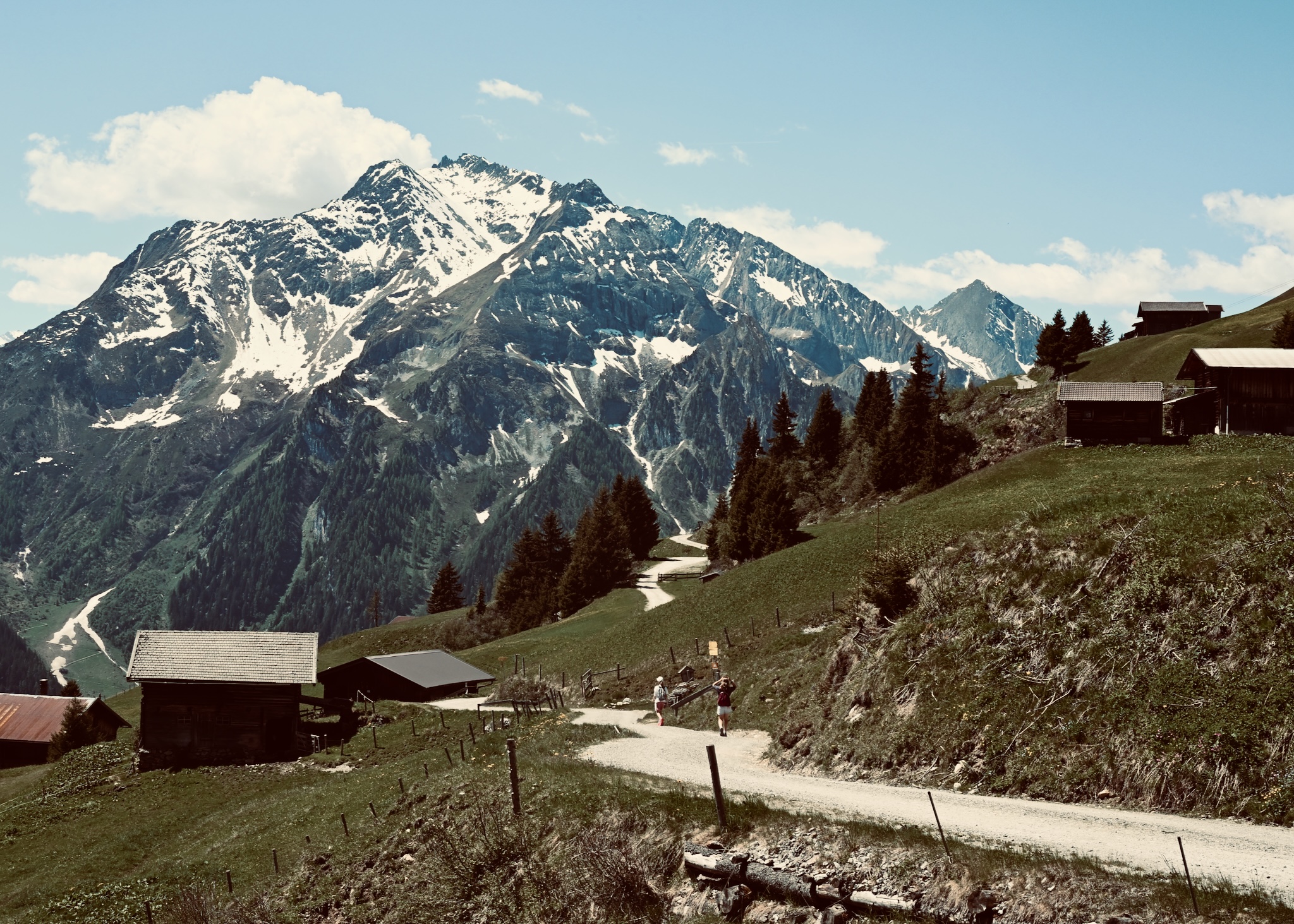 High pastures, Zillertal, Austria · May 26