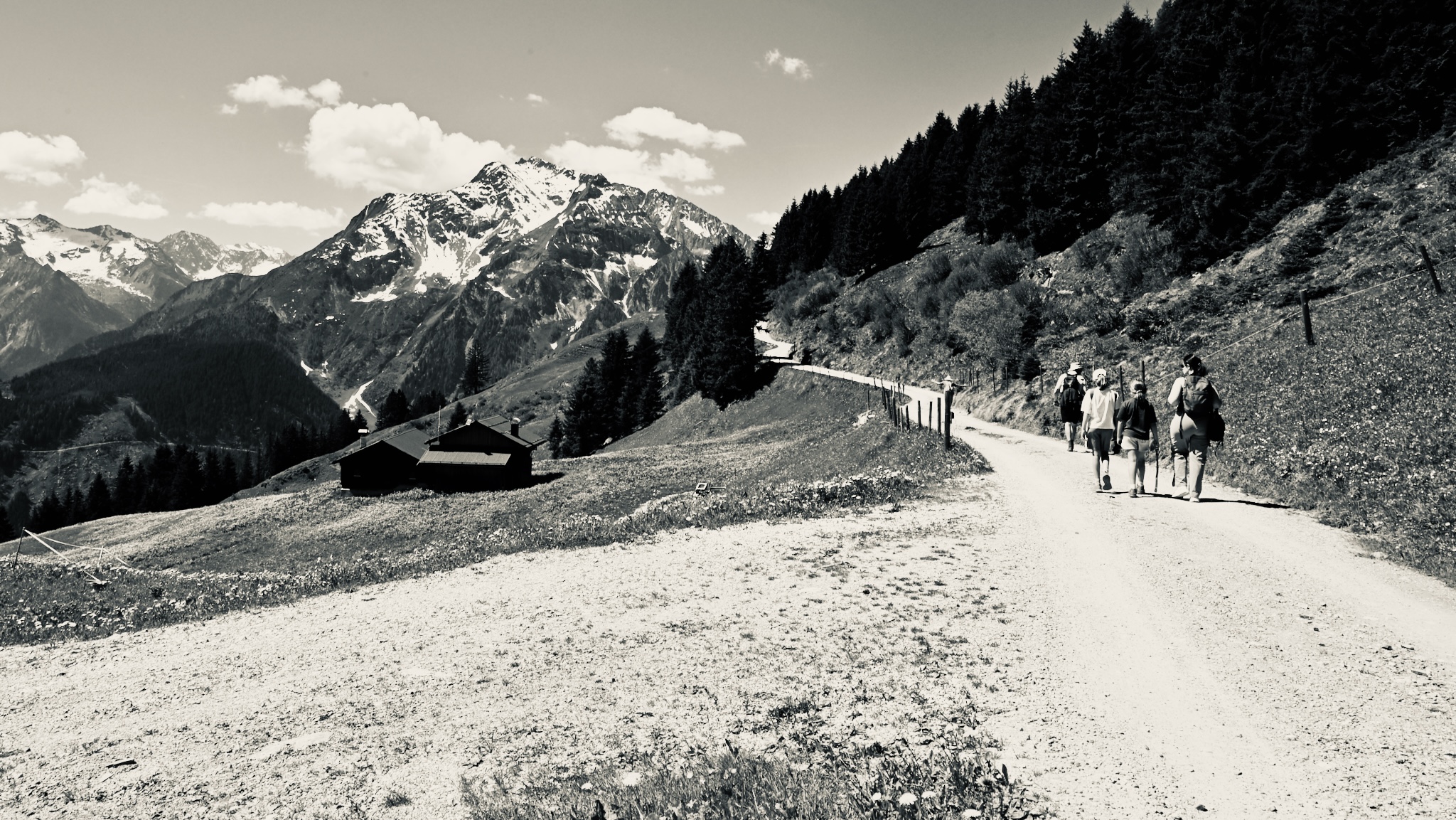 The family walking a high path, toned monochrome