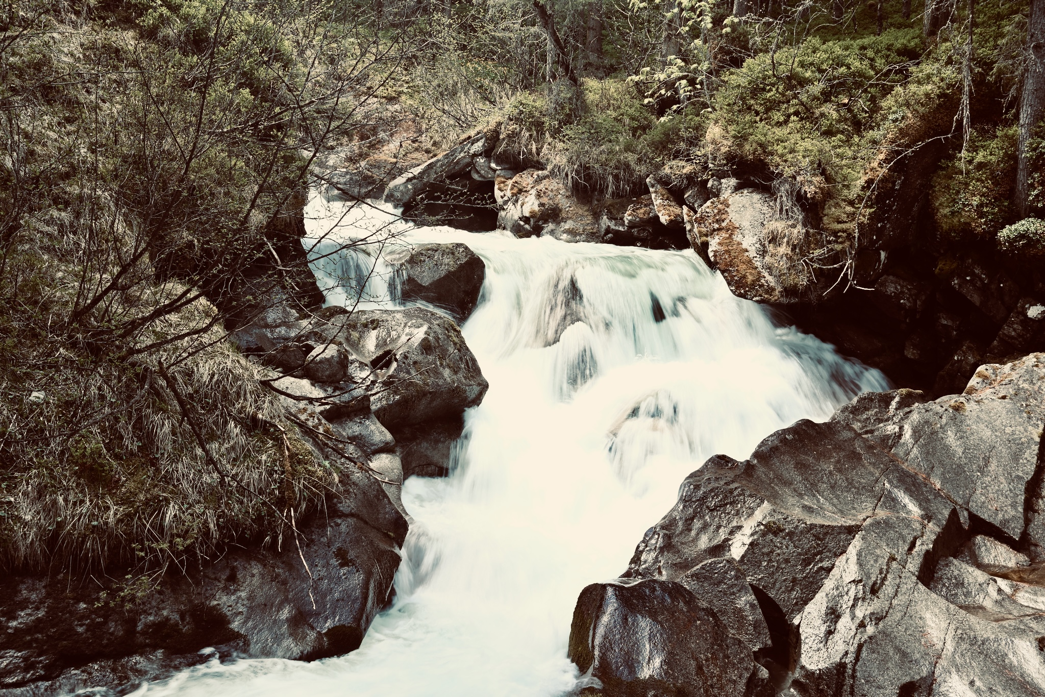 A meltwater cascade through forest