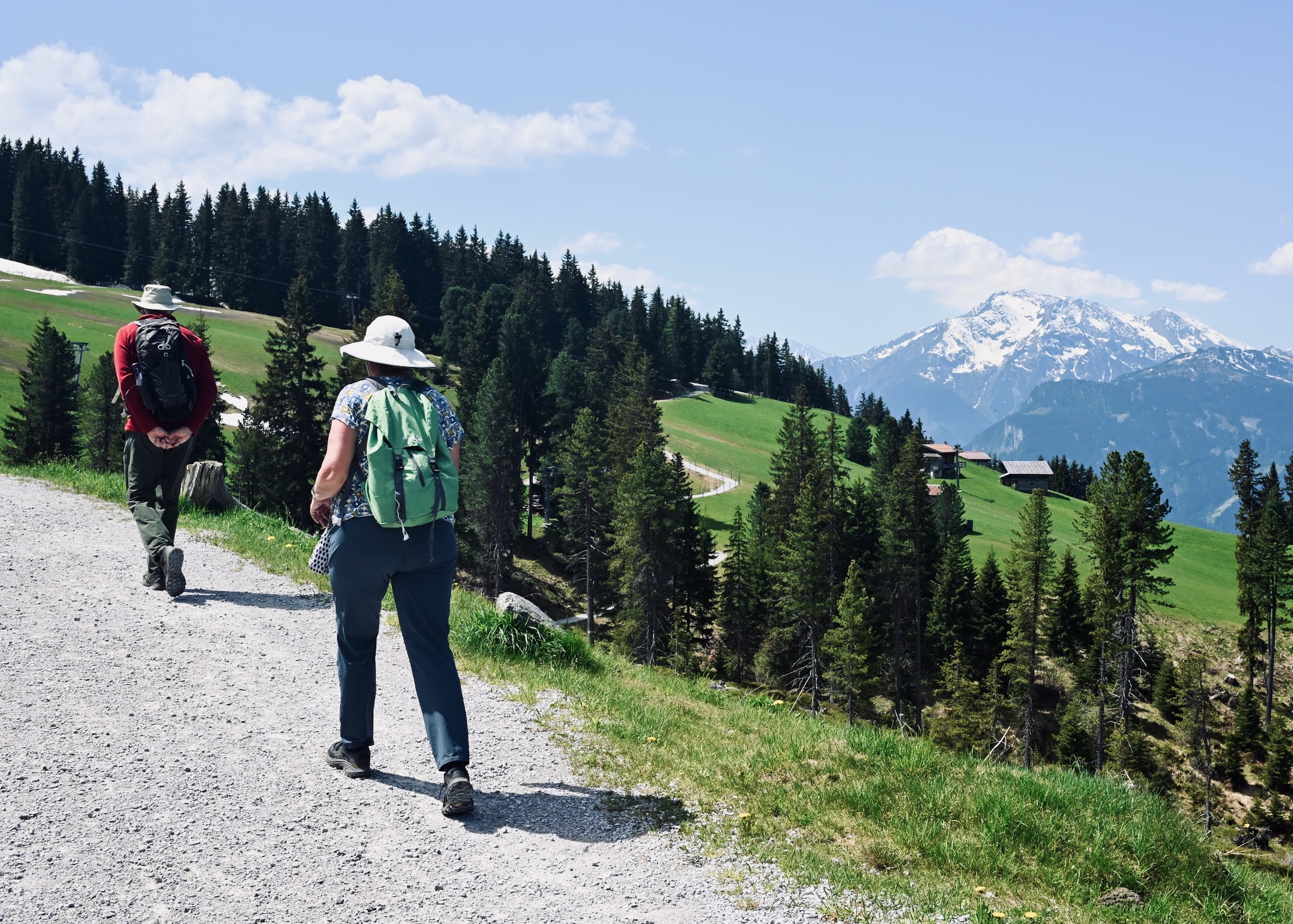 My parents walking ahead on a forest track