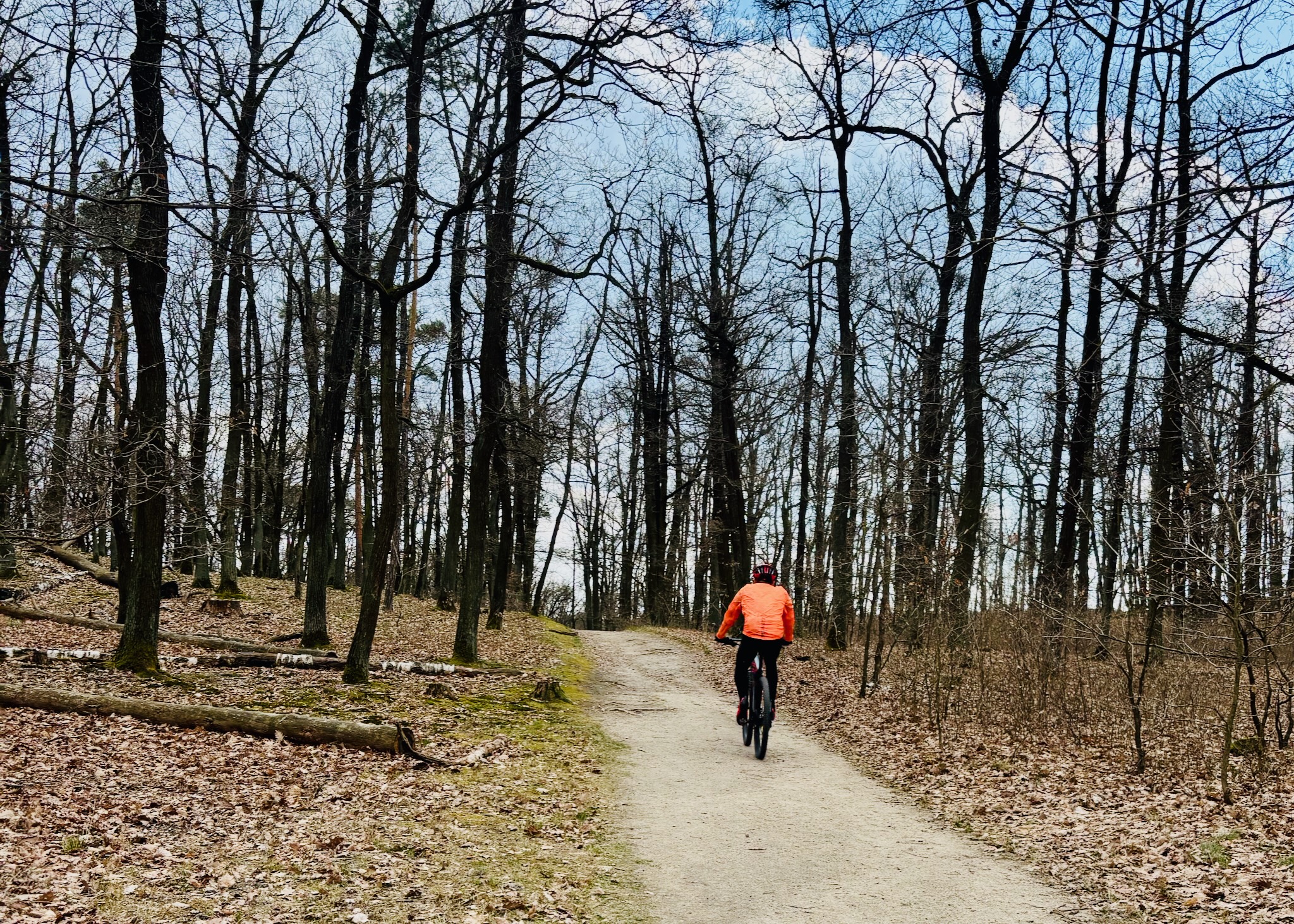 A cyclist in orange on a forest track
