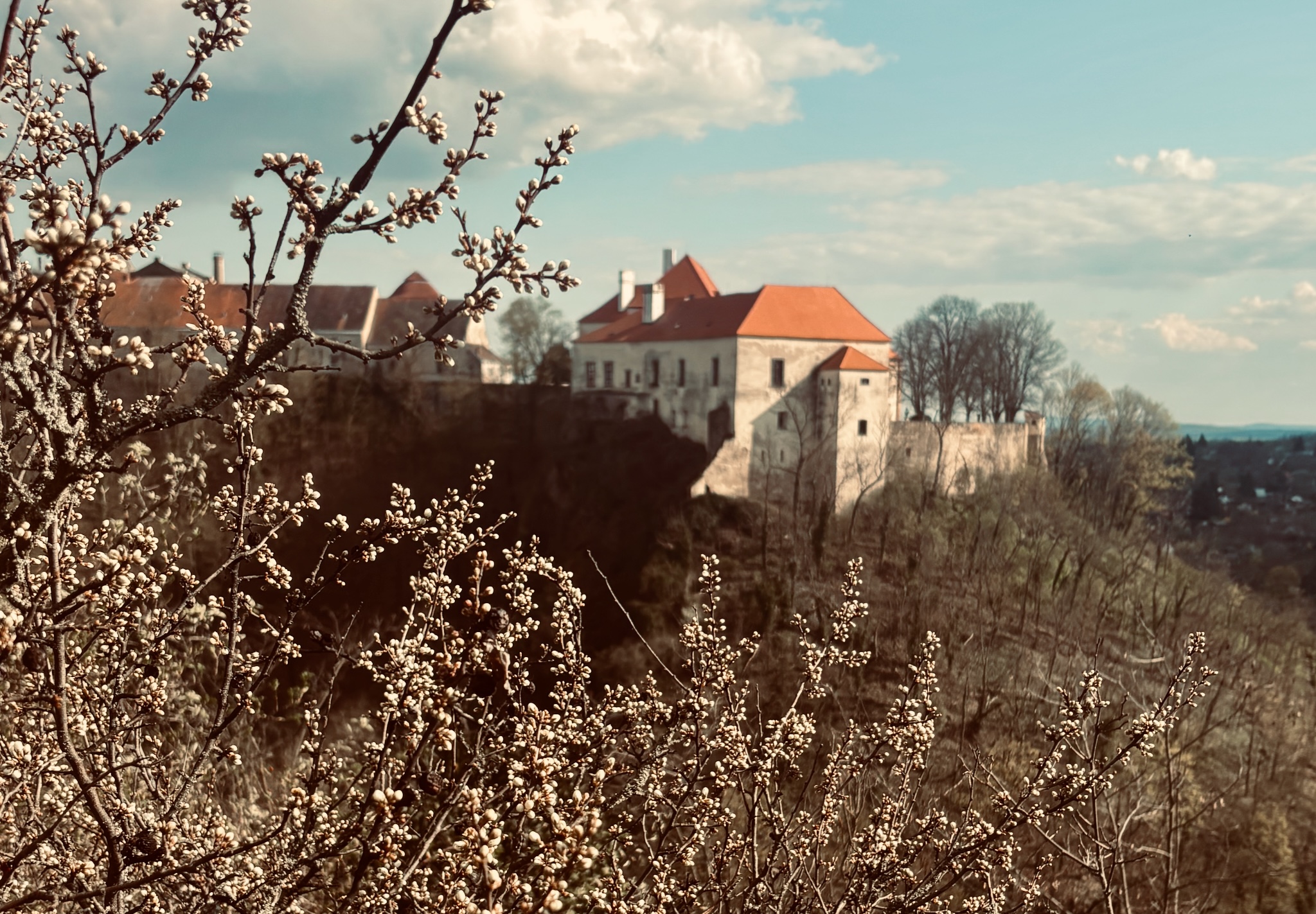 A castle on the hill seen through spring blossom