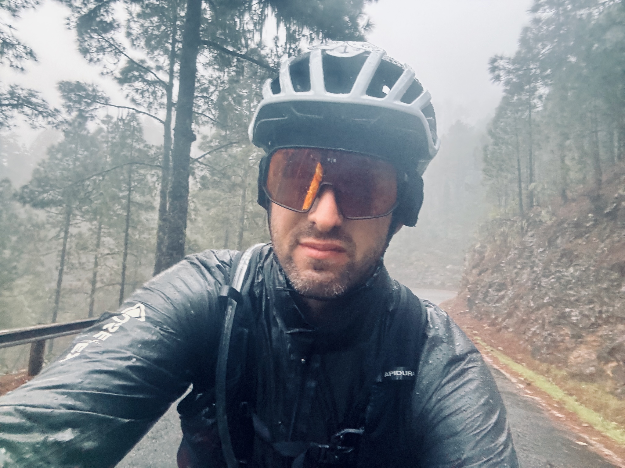 A rain-soaked selfie in misty pine forest