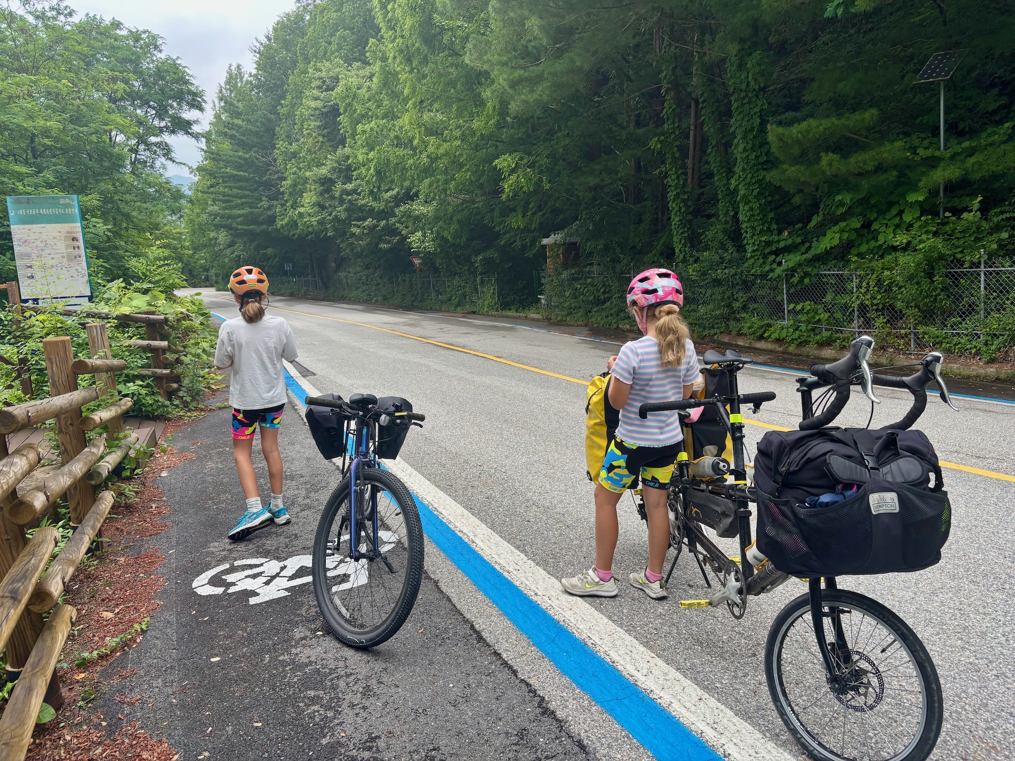 Pushing the bikes up the main climb of the trip
