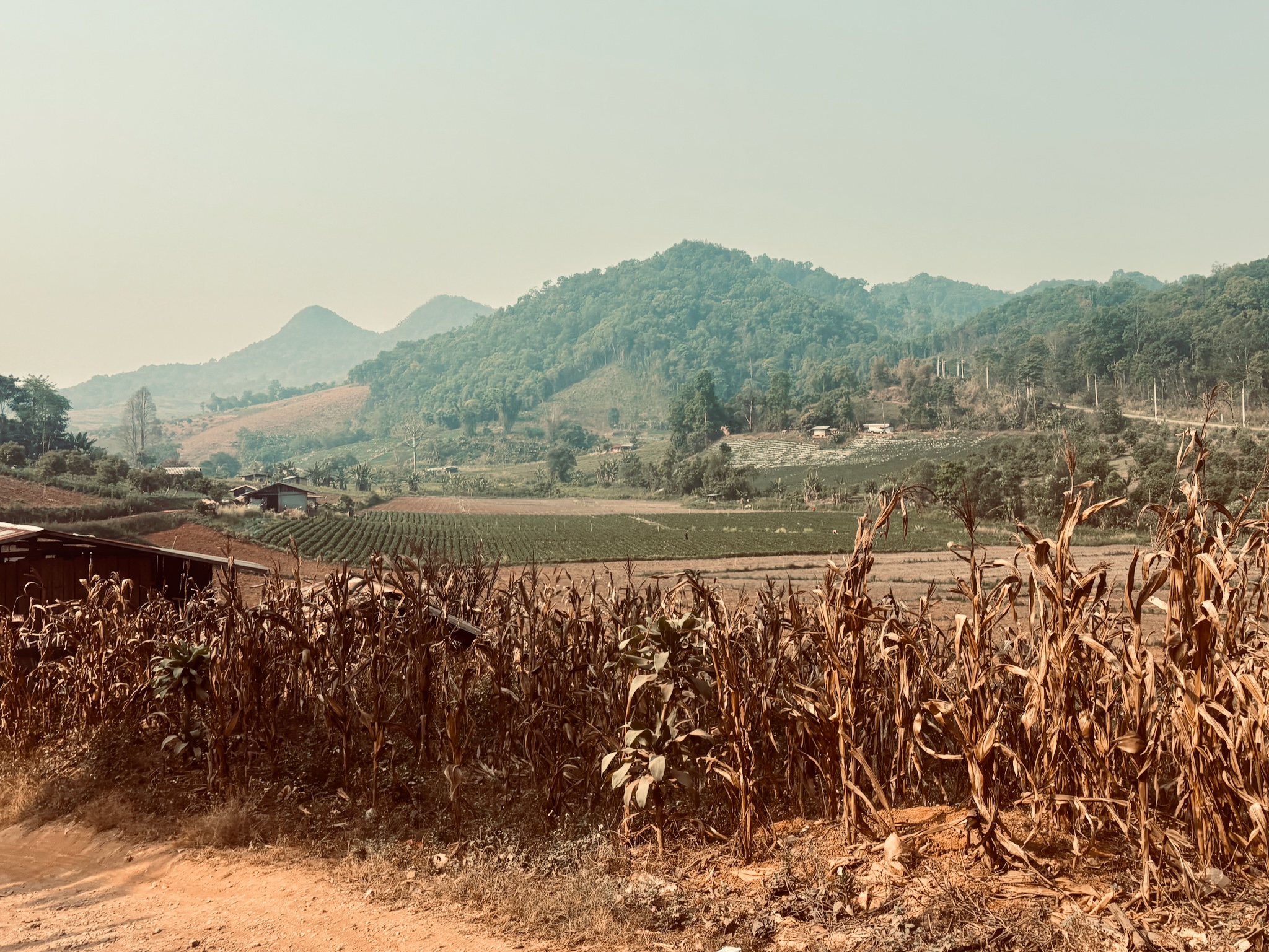 A green valley of fields and dry corn stalks under hazy hills